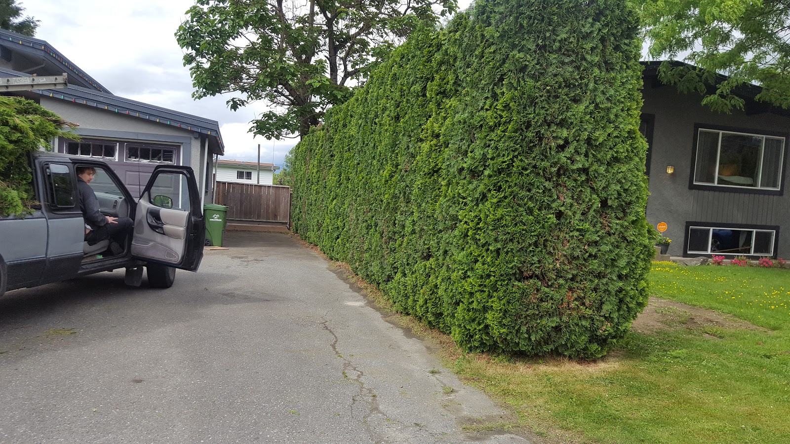 Bushwackers Landscaping — photo