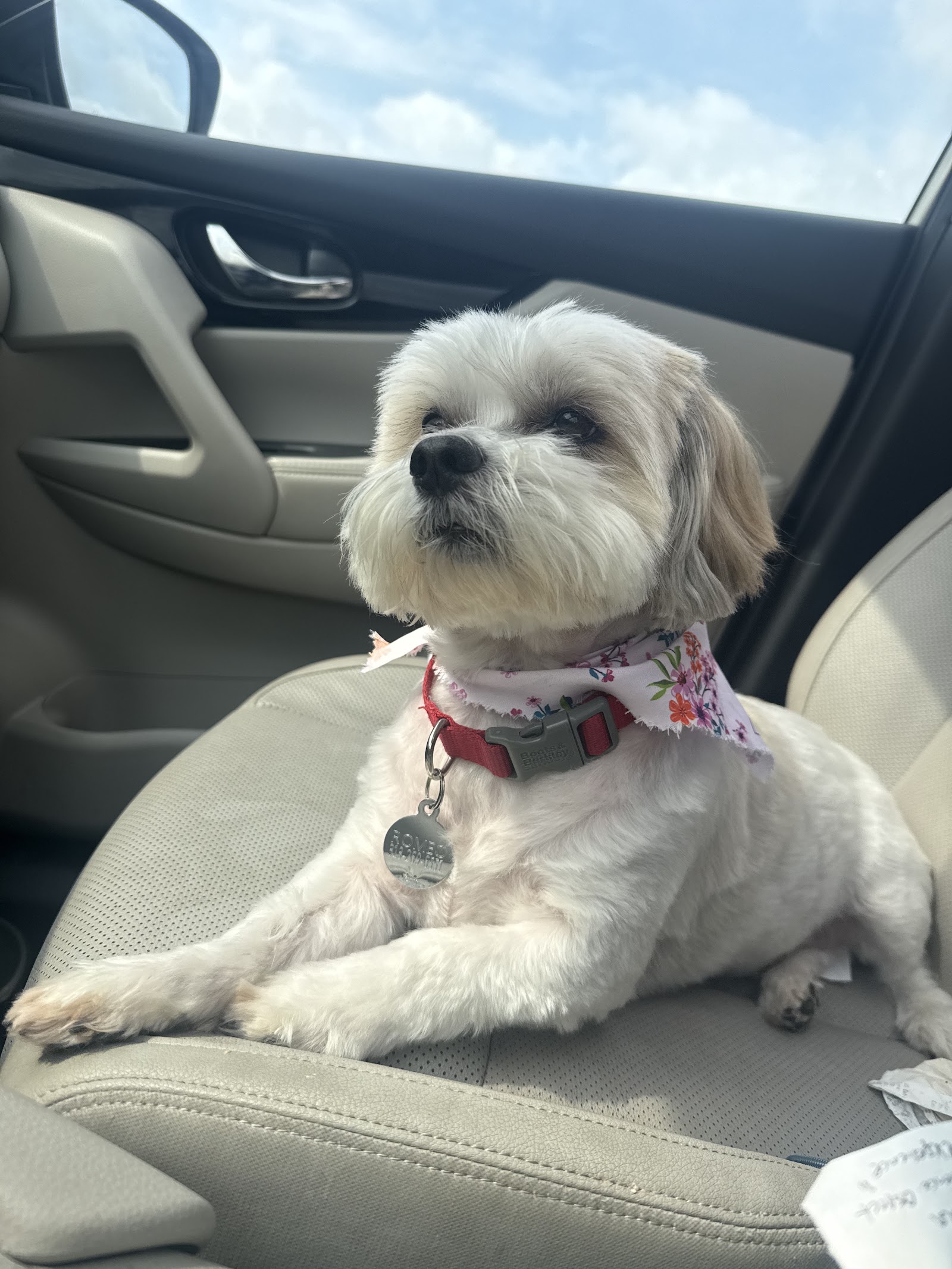 Jan's Pet Grooming — photo