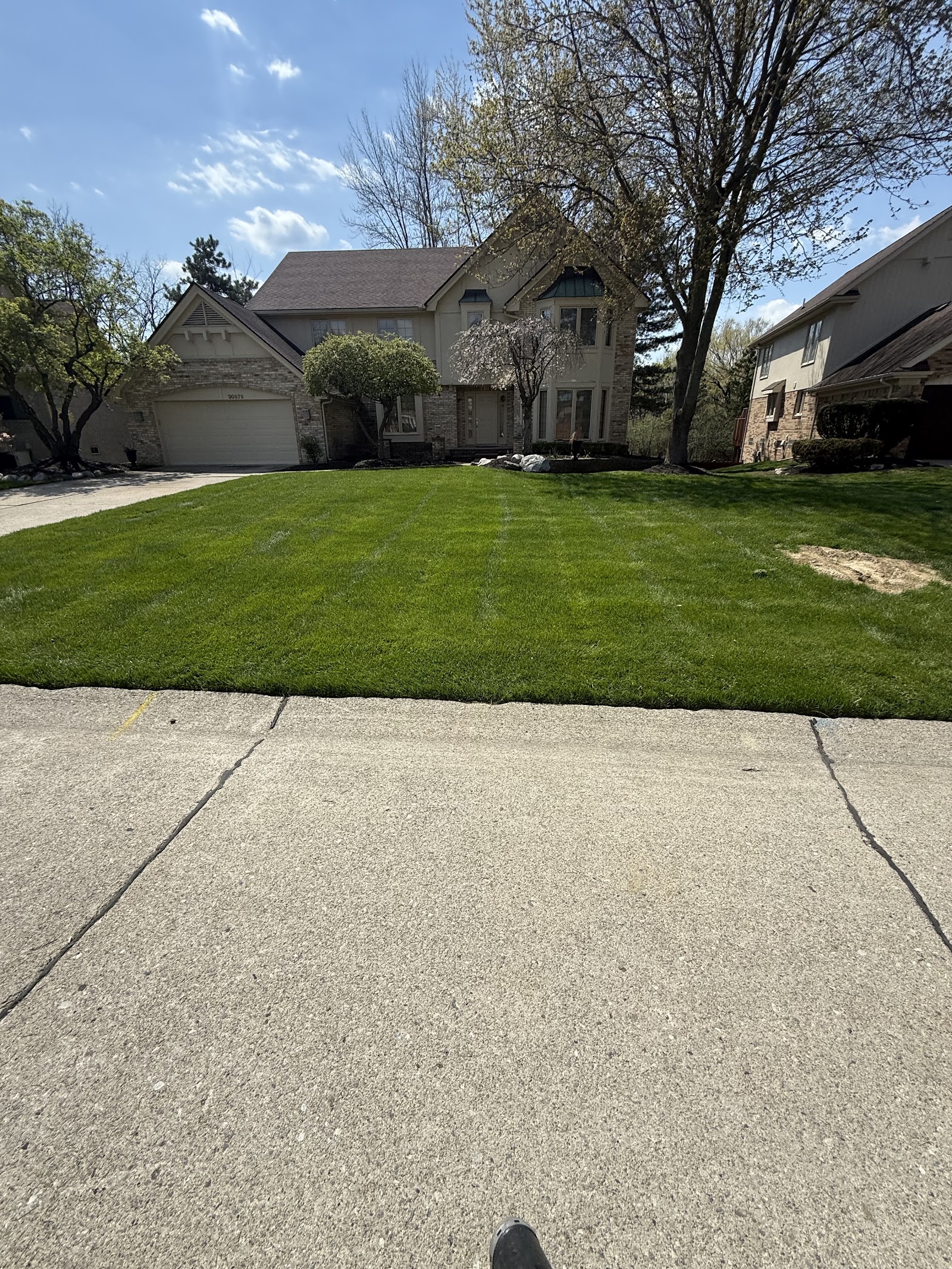 Magnolia Landscaping — photo