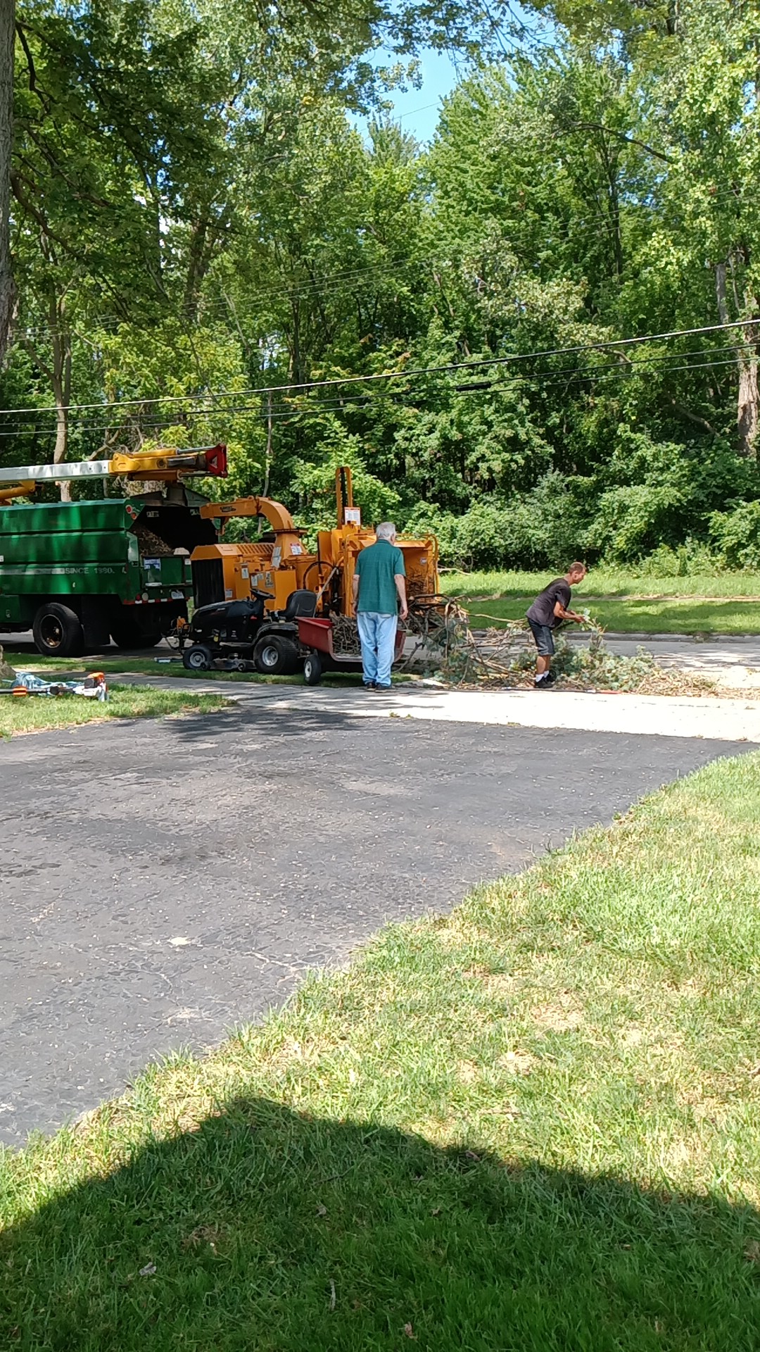 Metro Detroit Tree Service. in Redford Township